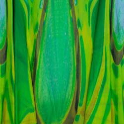 Pre Owned Roberto Cavalli Green Top S