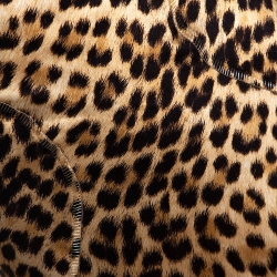 مملوكة مسبقًا Roberto Cavalli Beige Satin Leopard Print Maxi Skirt L