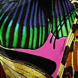 Pre Owned Roberto Cavalli Multicolor Butterfly Print Silk Sheer Belted Kaftan Top M