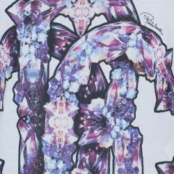 Pre Owned Roberto Cavalli Scoop Neck Printed T-Shirt S