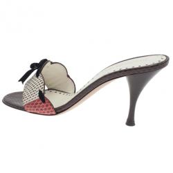 Pre Owned حذاء سلايد سان لوران باريس نقوش جلد ثعبان بني مقاس 39