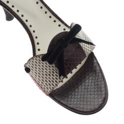 Pre Owned حذاء سلايد سان لوران باريس نقوش جلد ثعبان بني مقاس 39