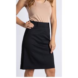 Pre Owned Salvatore Ferragamo Blue Divise Skirt M (IT 42)