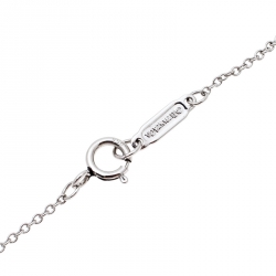 Pre Owned Tiffany & Co. Garden Dragonfly Diamond Platinum Pendant Necklace