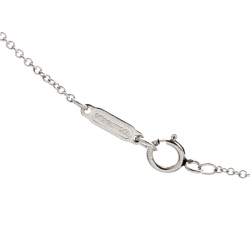 Pre Owned Tiffany & Co. Dragonfly Diamond Platinum Pendant Necklace