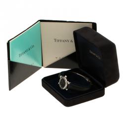 Tiffany & Co. Black Stainless Steel Atlas Women's Wristwatch 25 mm