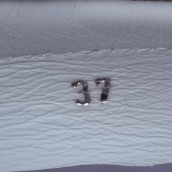 Pre Owned Tod’s Lilac Suede Lace-up Driving Loafers Size 37