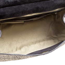 Versace Metallic Black Python Hobo