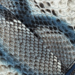 Zadig and Voltaire White/Turquoise Python Rock Foldover Clutch Bag