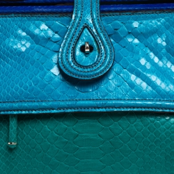 Pre Owned Zagliani Blue/Green Python Medium Jamila Bag