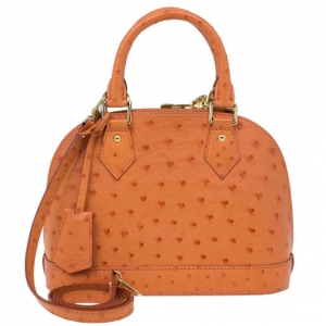 Pre Owned Louis Vuitton Autruche Pigment Alma BB
