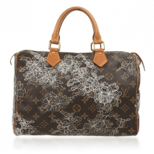 Pre Owned Louis Vuitton Dentelle Speedy 30 Bag