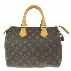 Pre Owned Louis Vuitton Monogram Canvas Speedy 25