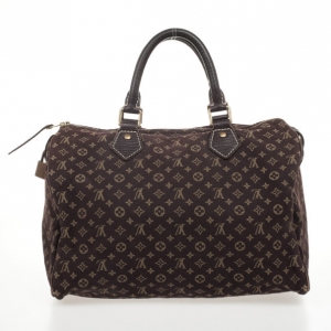 Pre Owned Louis Vuitton Monogram Mini Lin Speedy 30 Satchel