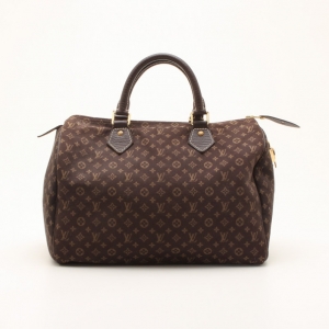 Pre Owned Louis Vuitton Monogram Mini Lin Speedy 30 Satchel 