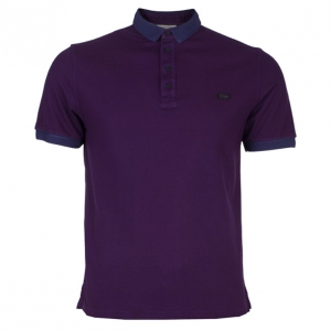 Pre Owned Burberry Men's Purple Cotton Pique Polo Shirt L