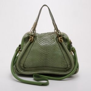 Pre Owned Chloe Green Python Medium Paraty Satchel
