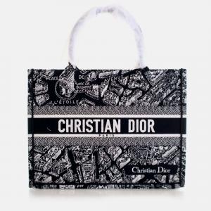 Dior Medium Canvas Paris Map Book Tote
