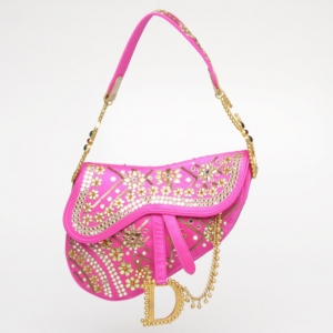 Pre Owned Dior Limited Edition India Saddle Bag