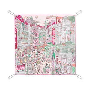 Pre Owned Hermes Scarf Display System