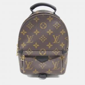 Louis Vuitton Monogram Palm Springs Backpack Mini