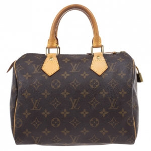 Pre Owned Louis Vuitton Monogram Canvas Speedy 25