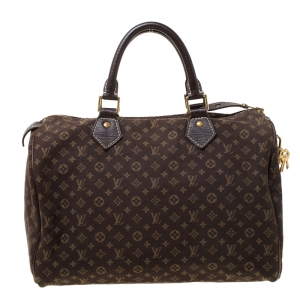 Louis Vuitton Fusain Monogram Canvas Mini Lin Speedy 30 Bag
