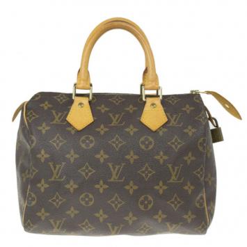 Louis Vuitton Monogram Canvas Speedy 25
