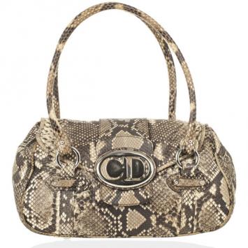Dior Python St. Germain Flap Bag