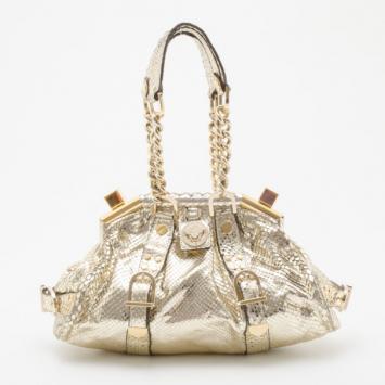 Versace Gold Snakeskin Framed Bauletto