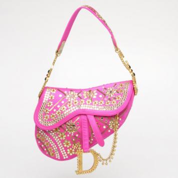 Dior Limited Edition India Saddle Bag