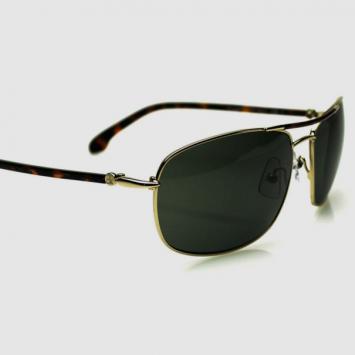 Calvin Klein CK1183SP Gold Unisex Sunglasses   