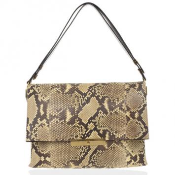 Celine Python Blade Bag