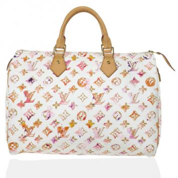 Louis Vuitton Watercolor Speedy 35