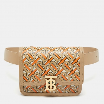 Pre Owned Burberry Multicolor TB Monogram Leather Mini Belt Bag