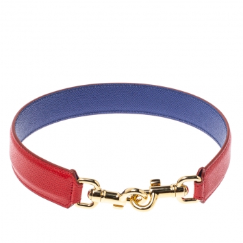 Pre Owned Dolce & Gabbana Red/Blue Leather Shoulder Bag Strap