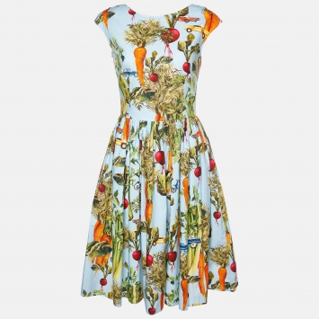 Pre Owned Dolce & Gabbana Blue Vegetable Print Cotton Midi Dress S