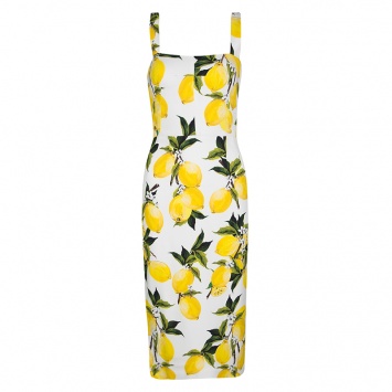Pre Owned Dolce and Gabbana Lemon Print Sleeveless Midi Sheath Dress S