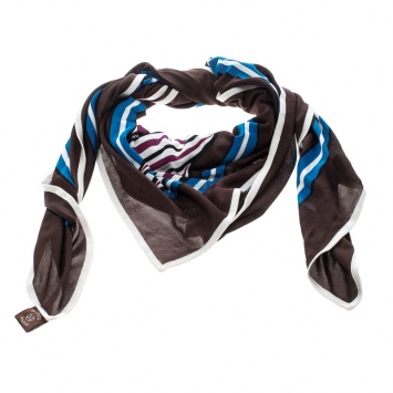 Pre Owned Hermes Multicolor Quadrige Printed Silk Jersey Scarf