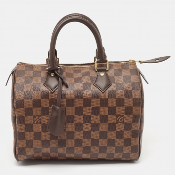 Pre Owned Louis Vuitton Damier Ebene Canvas Speedy 25 Bag