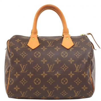 Pre Owned Louis Vuitton Monogram Canvas Speedy 25 Bag