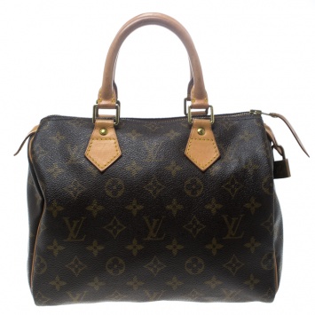 Pre Owned Louis Vuitton Monogram Canvas and Leather Speedy 25 Bag