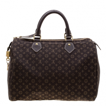 Pre Owned Louis Vuitton Fusain Monogram Canvas Mini Lin Speedy 30 Bag