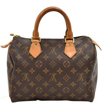 Pre Owned Louis Vuitton Monogram Canvas Speedy 25 Bag