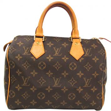 Pre Owned Louis Vuitton Monogram Canvas Speedy 25 Bag