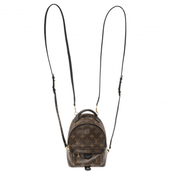 Pre Owned Louis Vuitton Monogram Canvas Mini Palm Springs Backpack