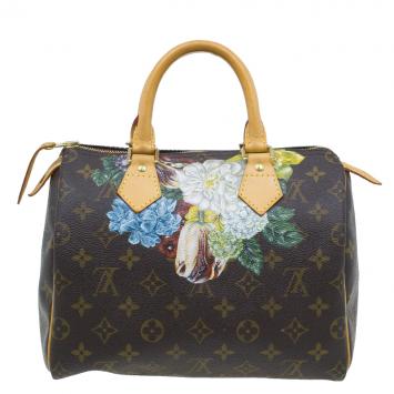 Pre Owned Louis Vuitton Monogram Canvas Hand Paint Speedy 25 Bag