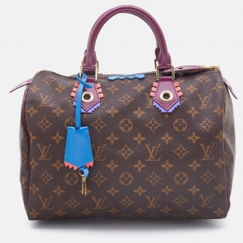 Pre Owned Louis Vuitton Monogram Canvas Totem Speedy 30 Bag
