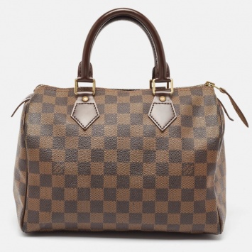 Pre Owned Louis Vuitton Damier Ebene Canvas Speedy 25 Bag