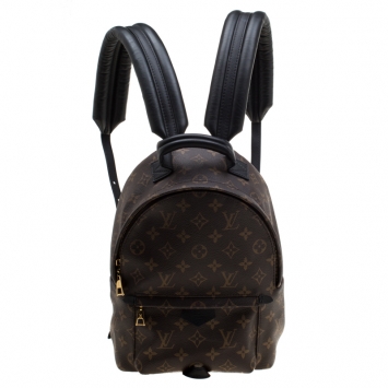 Pre Owned Louis Vuitton Monogram Canvas Mini Palm Springs Backpack